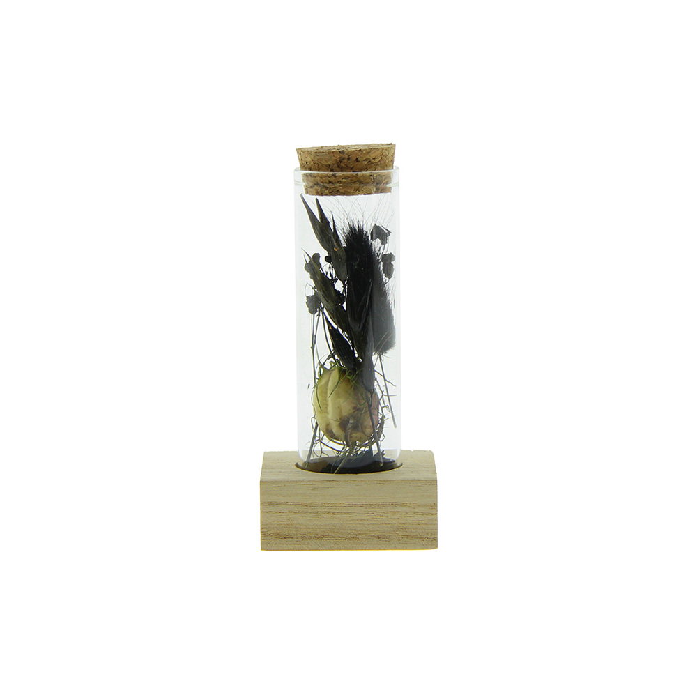 Dried Flowers - Single tube & wood - zwart