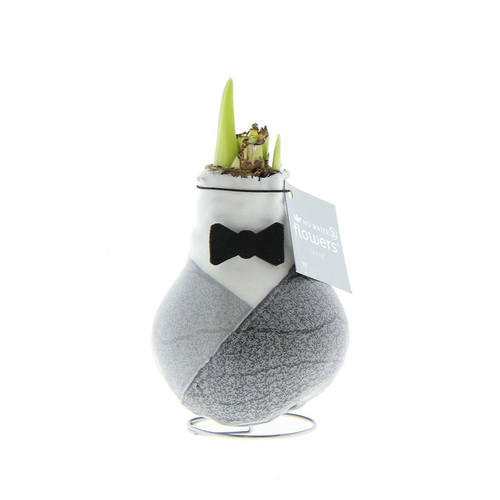 No Water Flowers® - Giletz Bow Tie