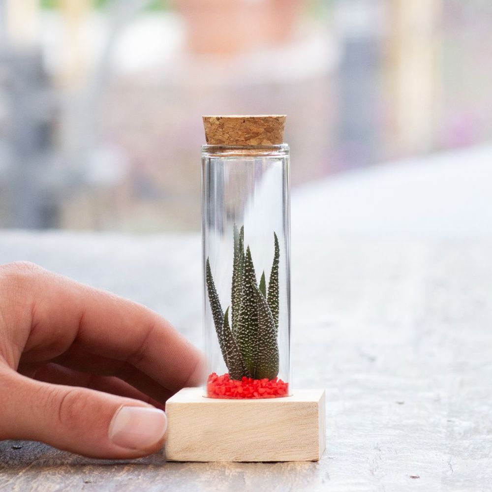Tiny Treasurez® - Single tube & wood, Licht blauw