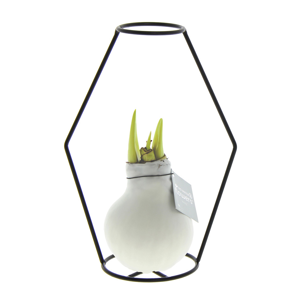 No Water Flowers® - Formz modern - Wit